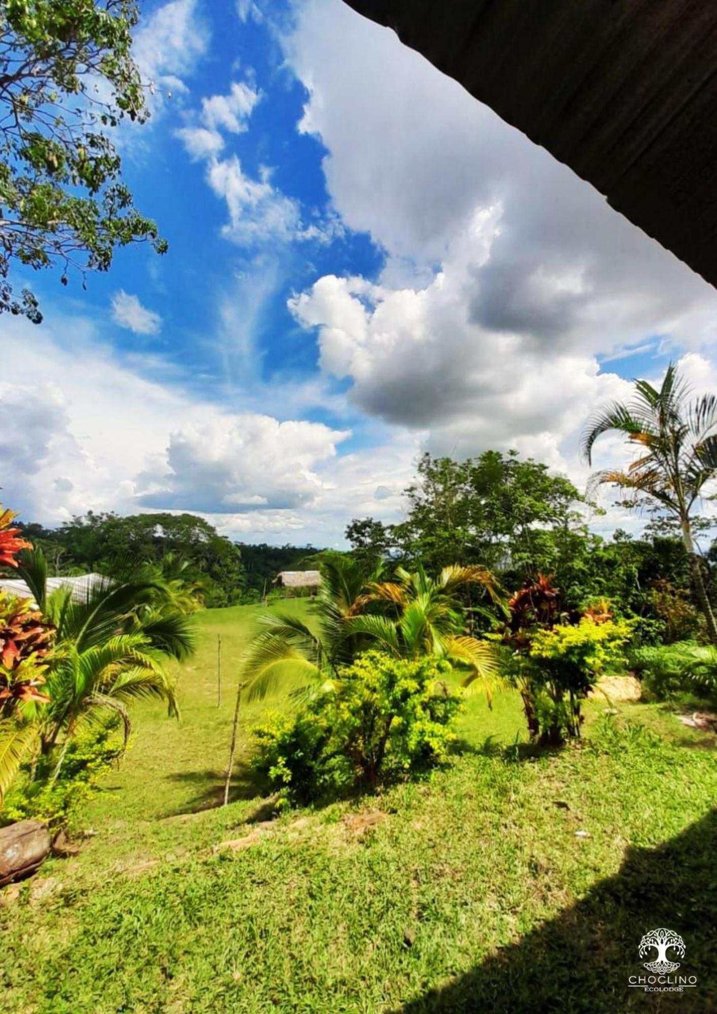Choclino Ecolodge -Bungalows Тарапото Экстерьер фото