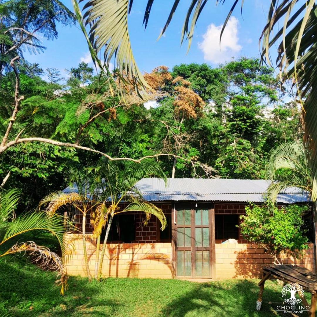 Choclino Ecolodge -Bungalows Тарапото Экстерьер фото