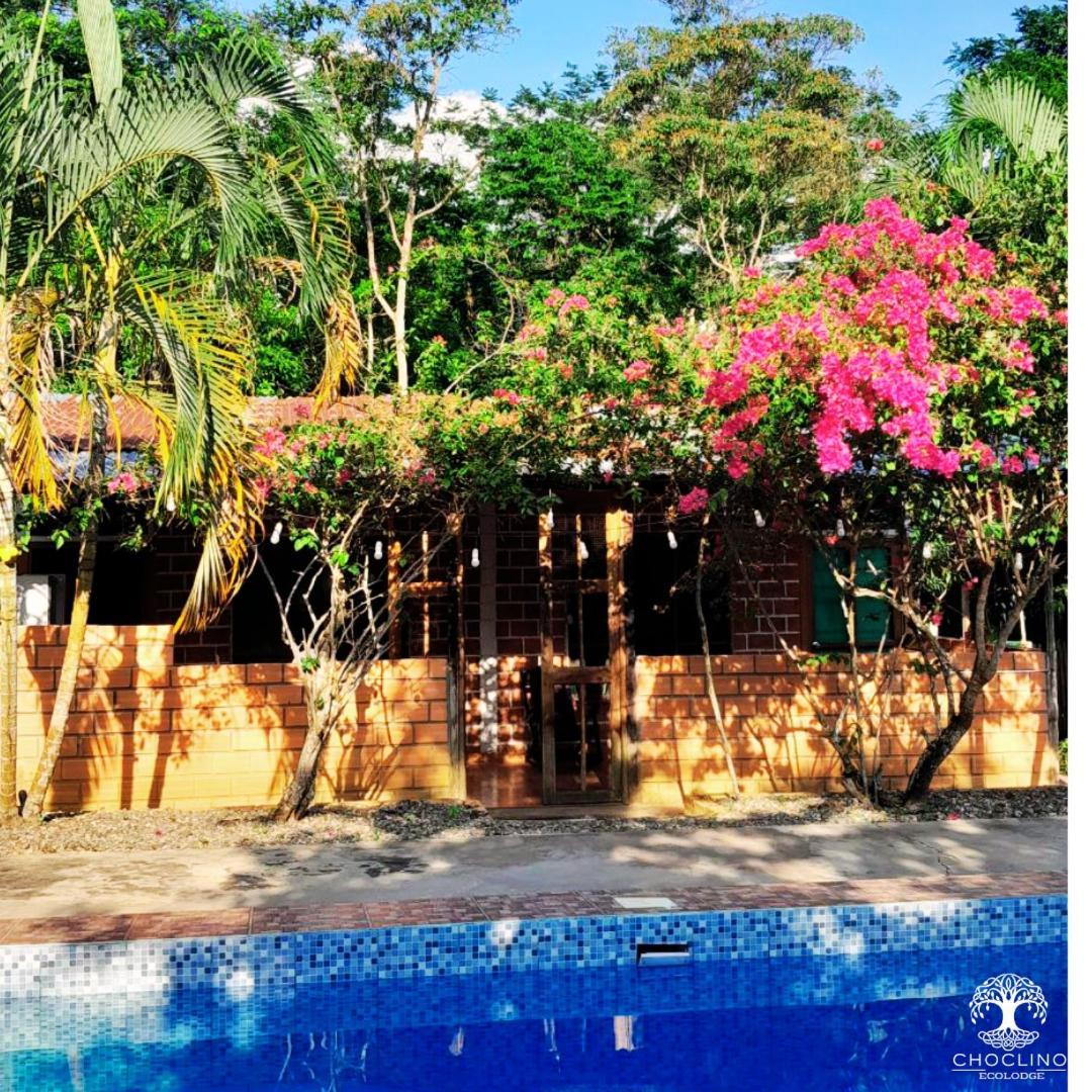 Choclino Ecolodge -Bungalows Тарапото Экстерьер фото