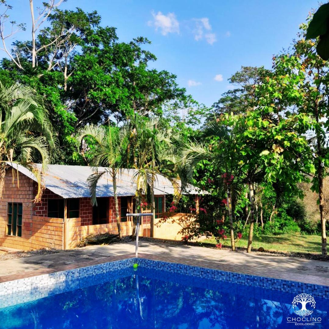 Choclino Ecolodge -Bungalows Тарапото Экстерьер фото