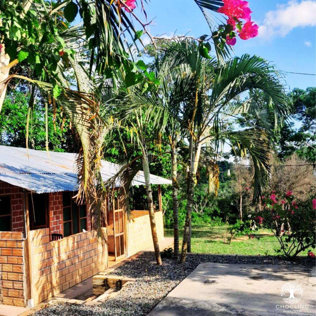 Choclino Ecolodge -Bungalows Тарапото Экстерьер фото
